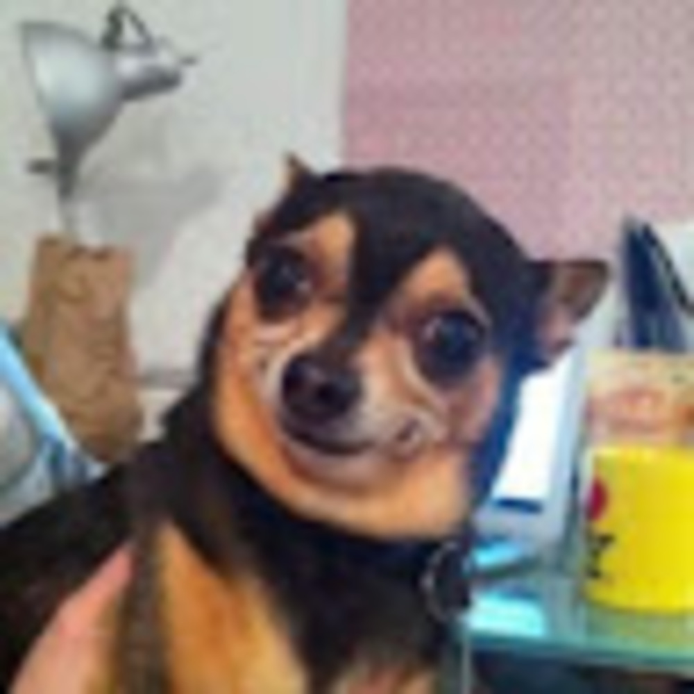 Meet your Posher, Paige